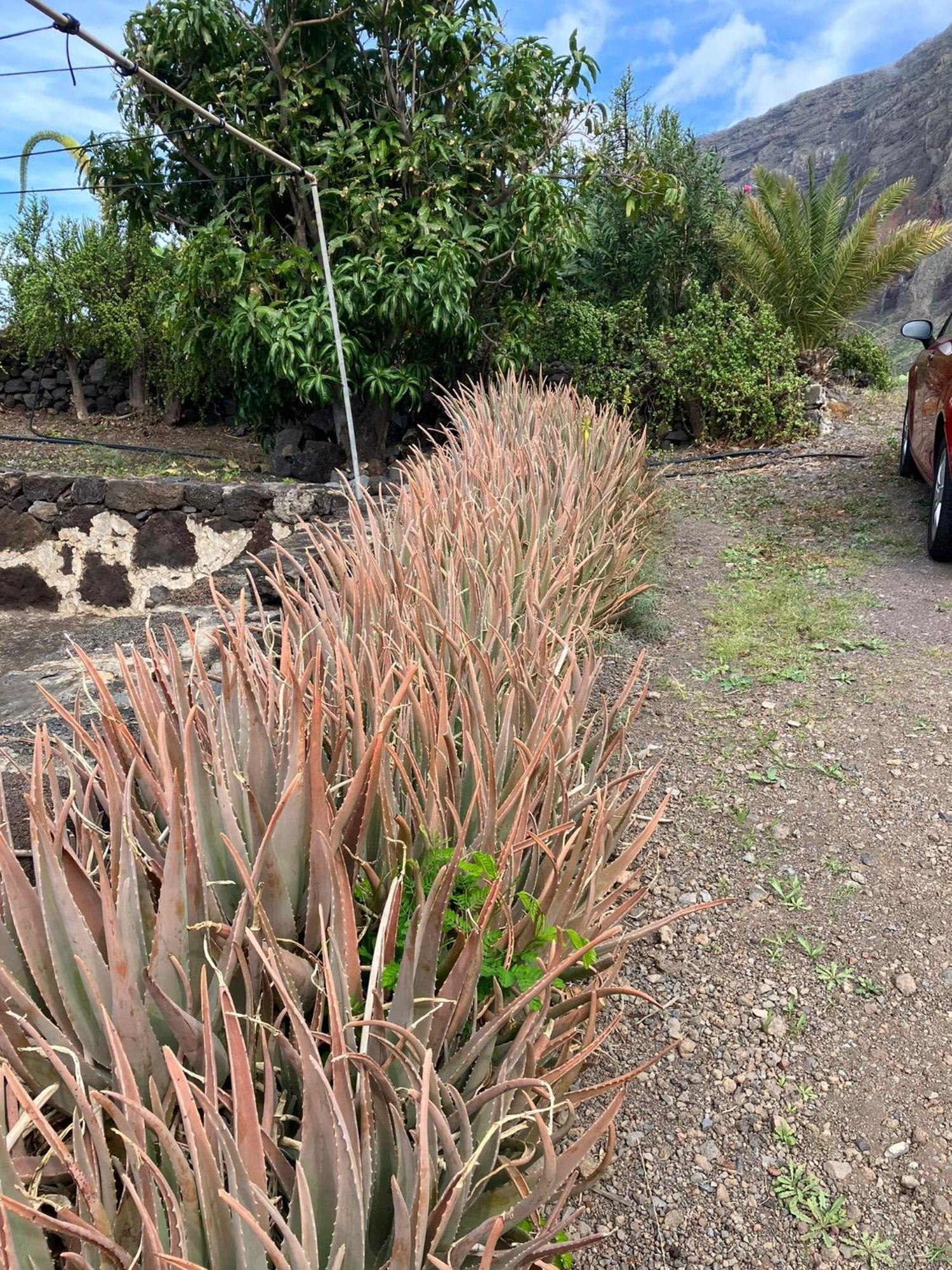 Casa Nela. Rural Y Acogedora En Las Puntas El Hierro Frontera Buitenkant foto